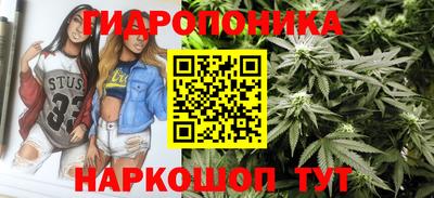 винт Гай